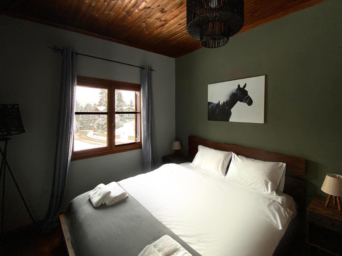Pavliani House Apartment Bagian luar foto