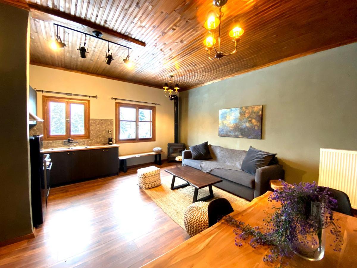 Pavliani House Apartment Bagian luar foto
